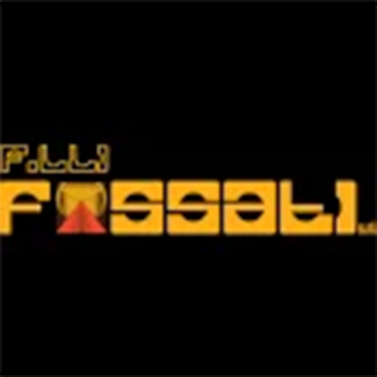 logo F.LLI FOSSATI SRL