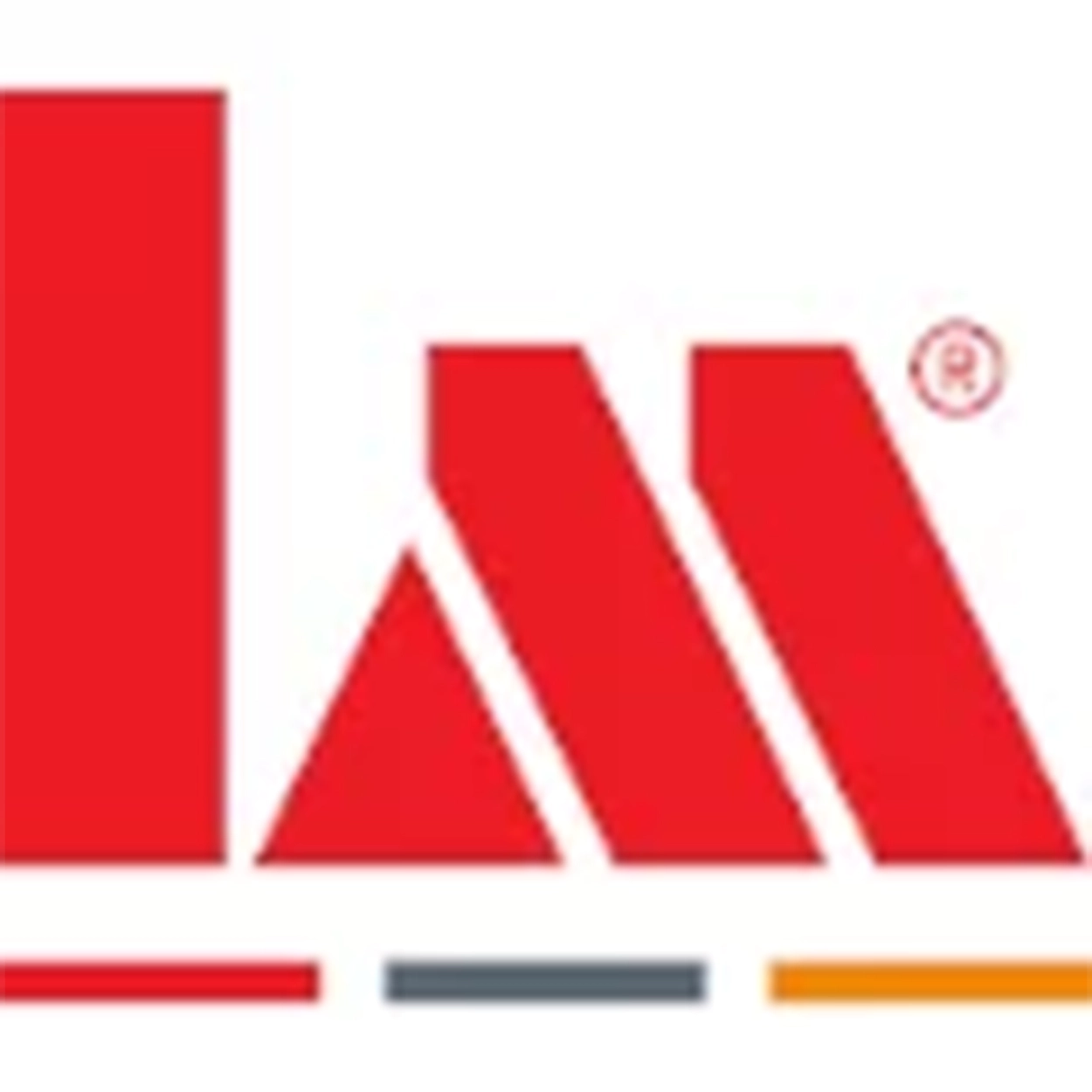 logo LM INDUSTRY SRL